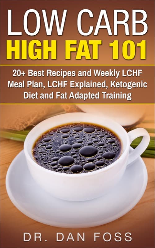 Low Carb High Fat 101